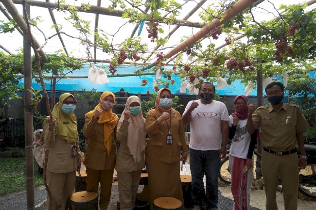 Pemanfaatan Pekarangan di Masa Pandemi