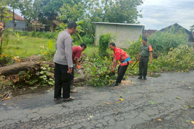 Antisipasi Pohon Tumbang