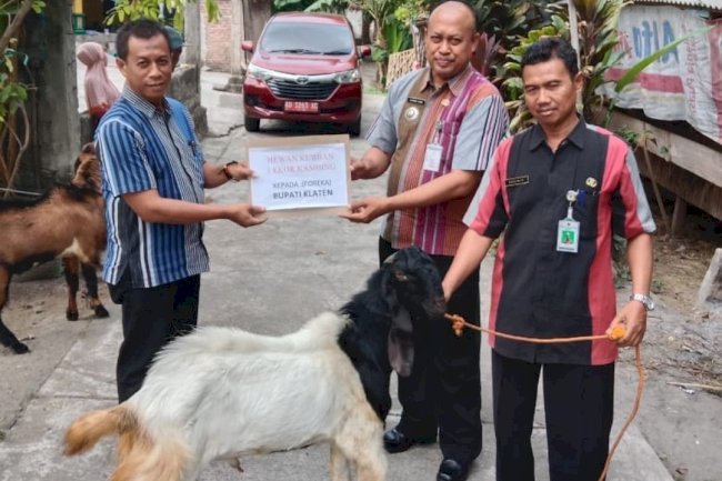 Pemberian Hewan Kurban dari Bupati Klaten kepada Foreka