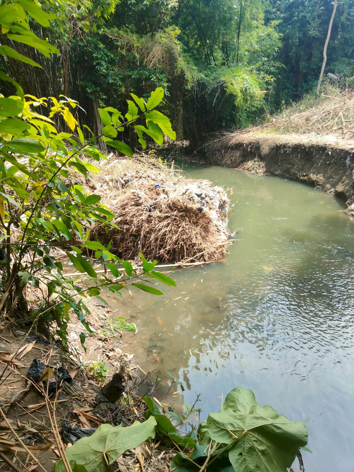 Gotong Royong Bersih Sungai Di Desa Kalikotes