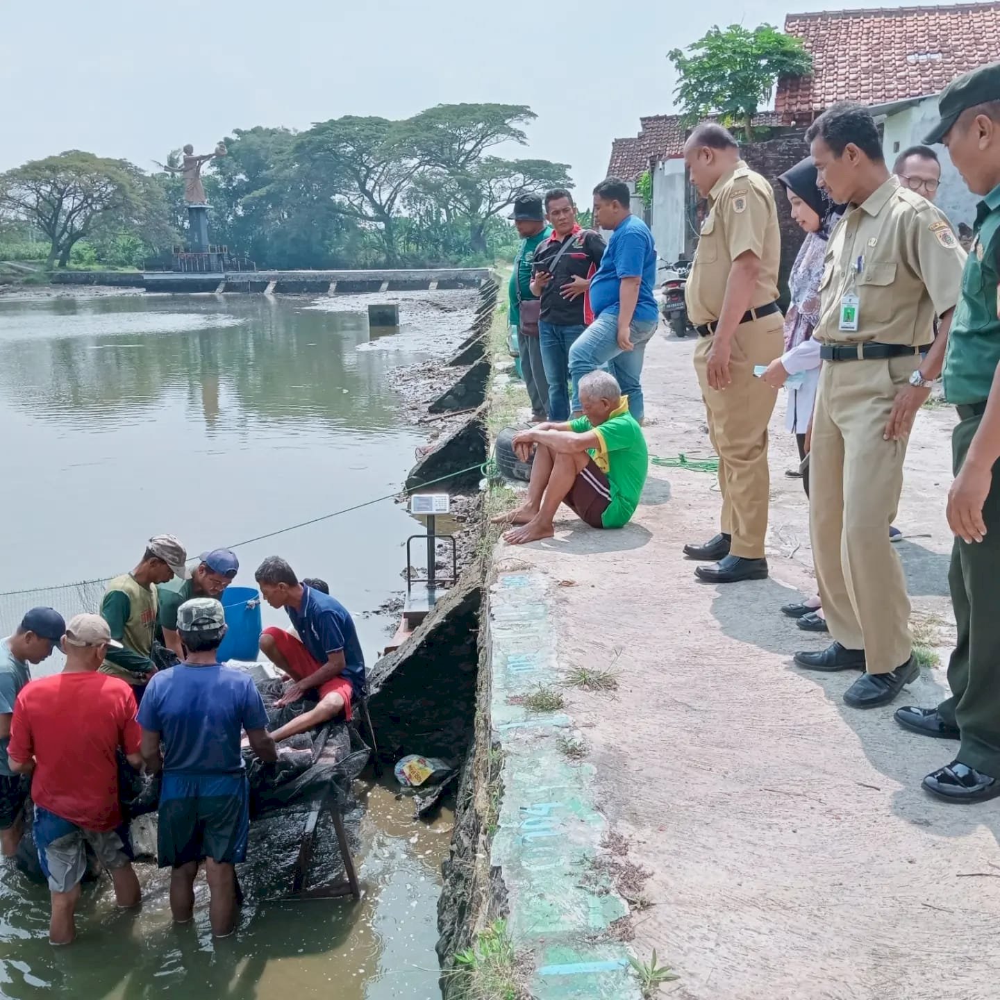 Penimbangan dan Penebaran Ikan Untuk Persiapan Acara Festival Memet Ikan