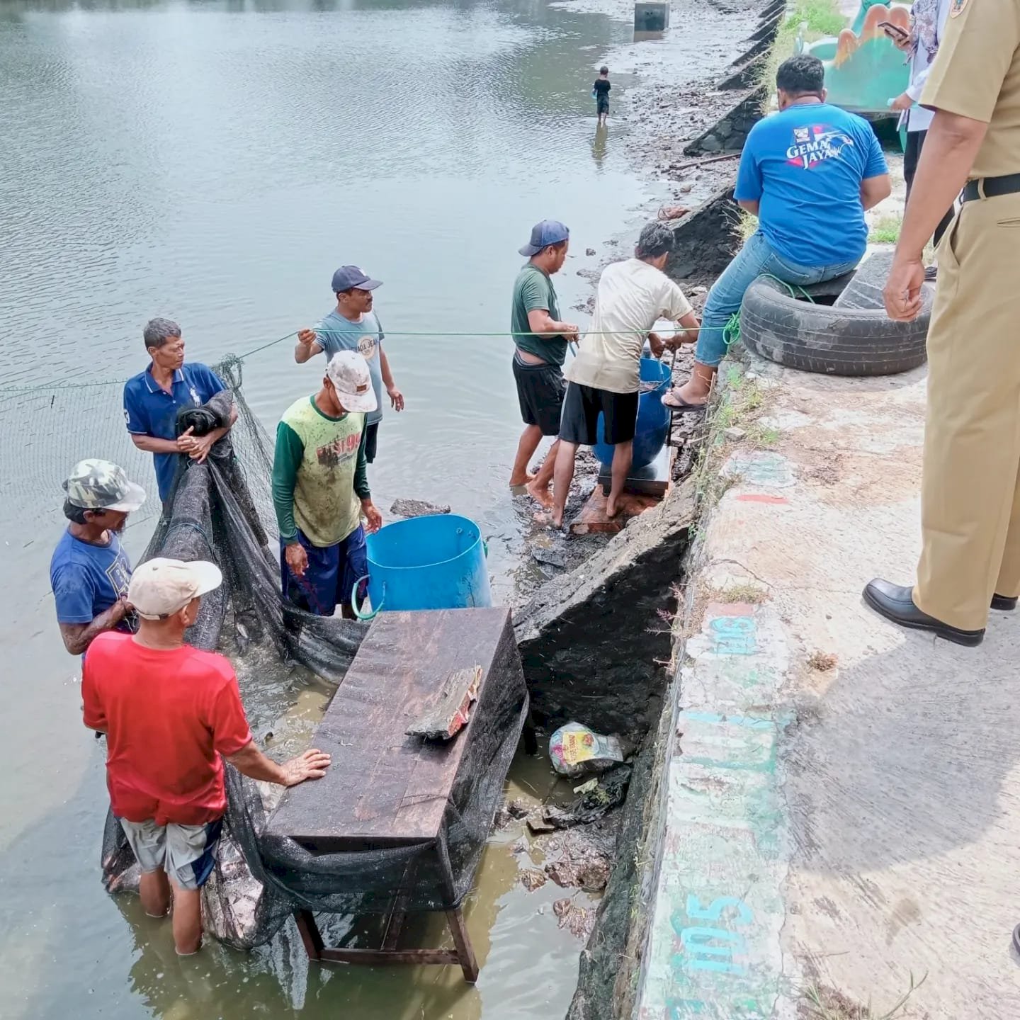 Penimbangan dan Penebaran Ikan Untuk Persiapan Acara Festival Memet Ikan