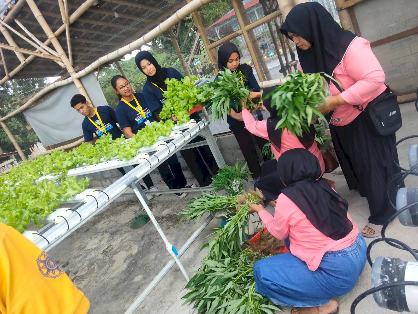 Kunjungan Monev dari UGM